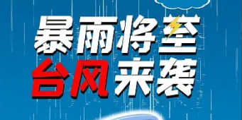 2023年3月14日~03月20日内贸海运集装箱运费报价（广西各都会到浙江温州宁波）