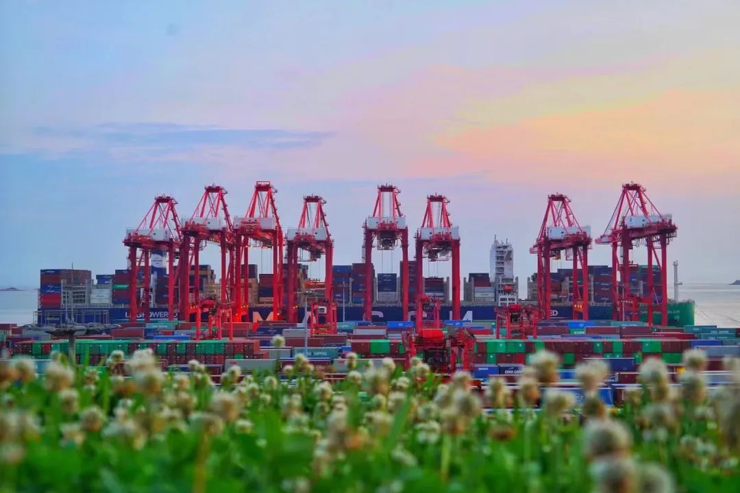 8月广东各都会到天津、青岛、上海、宁波海运价钱如下 - 尊龙官方网站物流