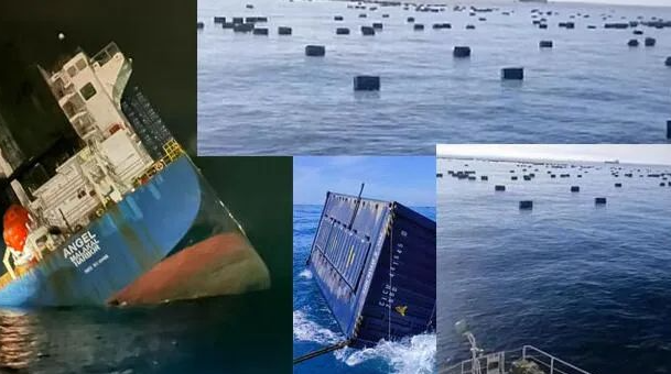 云浮、肇庆、珠海、河源、江门、清远、韶关、东莞到温州海运报价  --  尊龙官方网站物流
