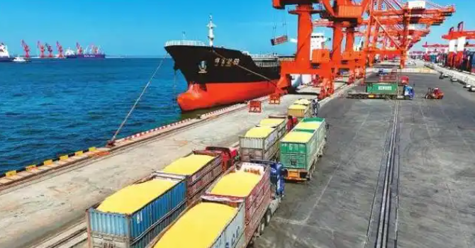 2024年10月广东各都会到天津内贸海运报价  --  尊龙官方网站物流
