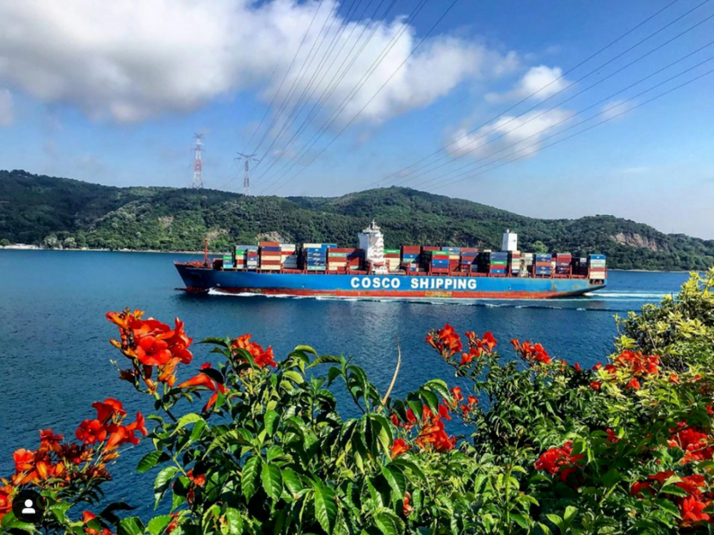 尊龙官方网站 - (中国区)首页